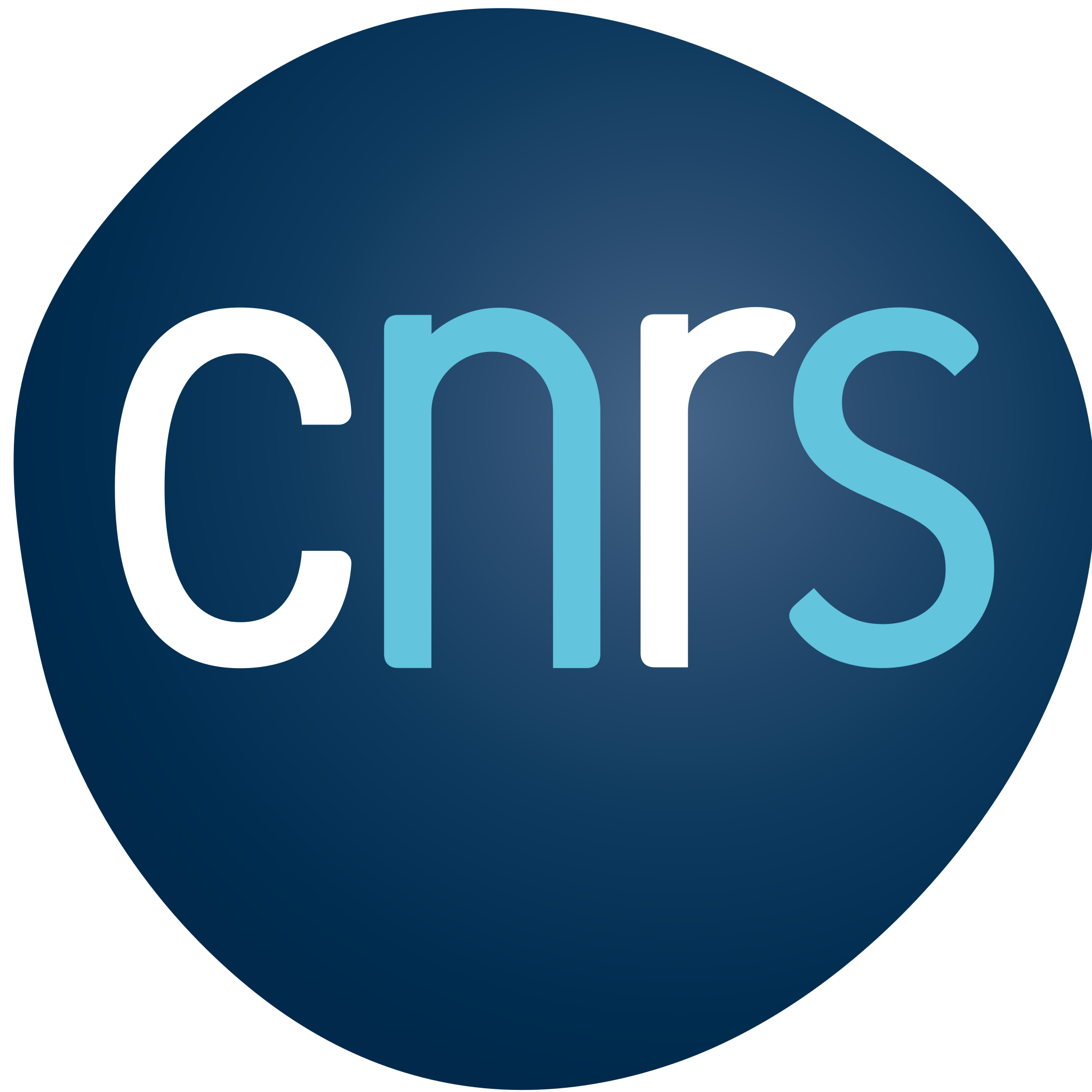 CNRS - Institute of Scientific and Technical Information - Internship